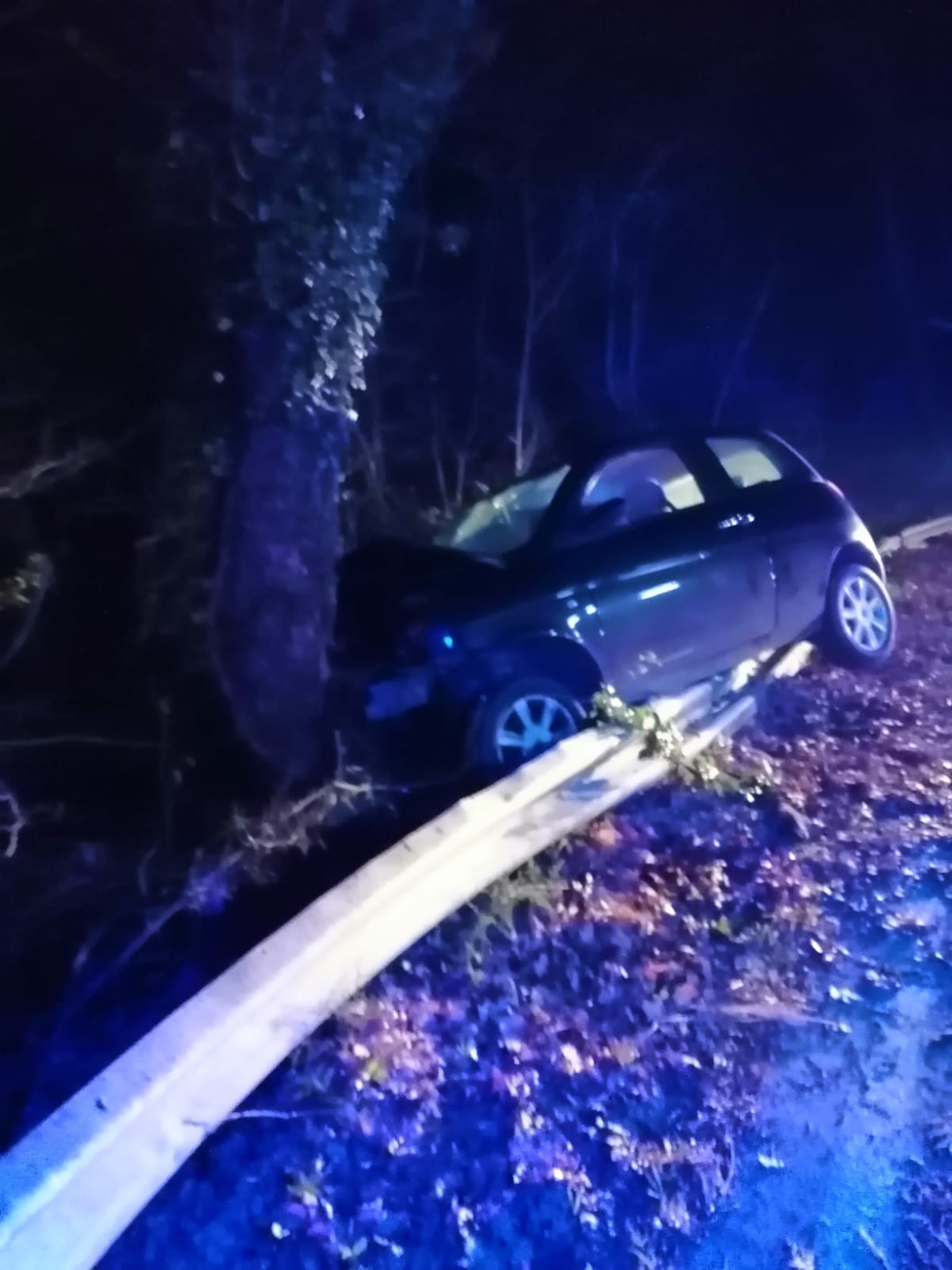 Cervaro - Esce fuori strada e si schianta contro un albero: muore nella ...