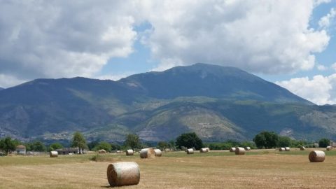 ballone di fieno campagna