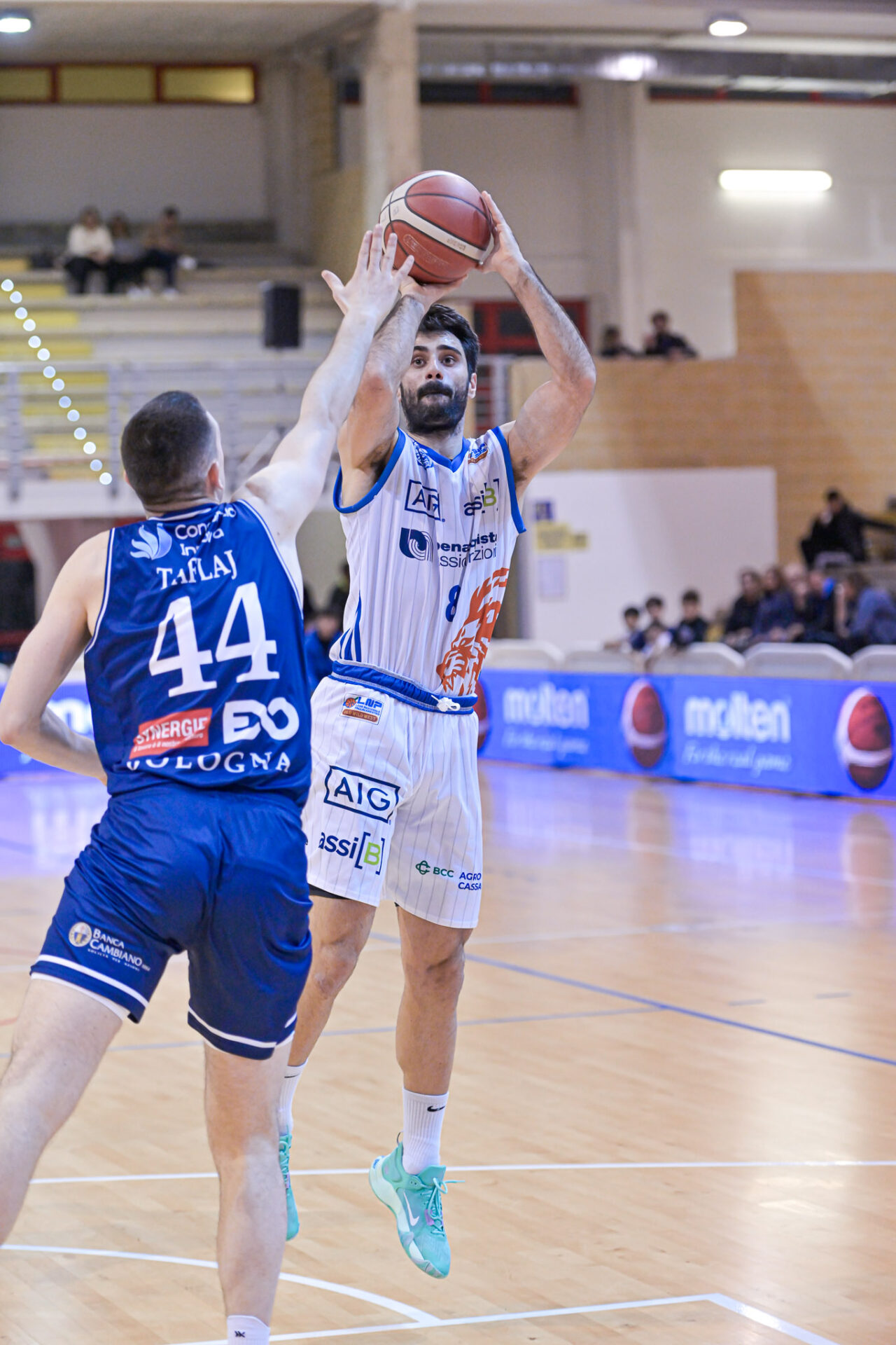 Basket A2, Latina non può nulla vince Bologna per 6377 Teleuniverso