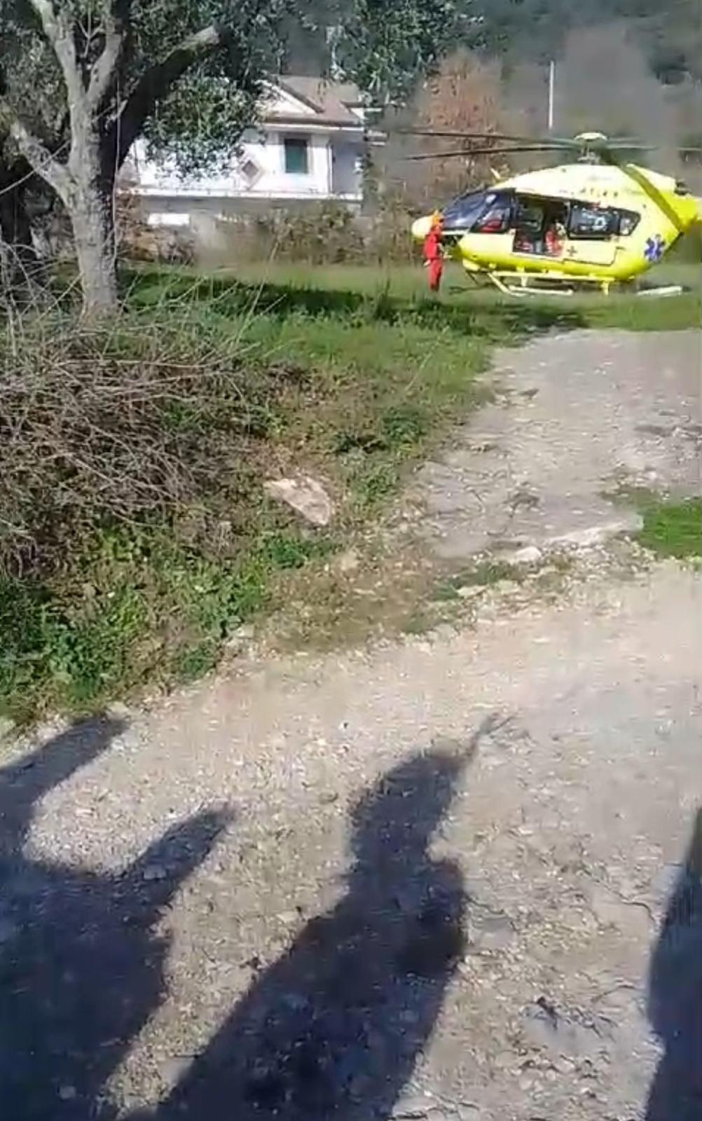 Giuliano di Roma - Cade da un albero che stava potando, 49enne grave a ...
